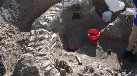 'Dreadnought' dinosaur yields big bone haul - PHOTO
