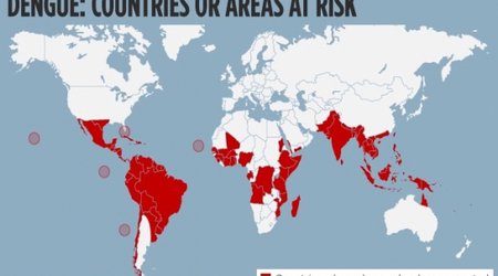 Going abroad? Here are 10 diseases you need to watch out for