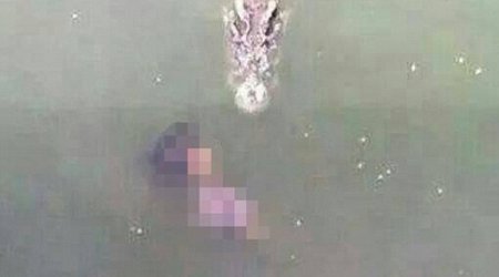Suicide by crocodile pit - VIDEO