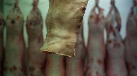 What does human meat taste like? - PHOTO