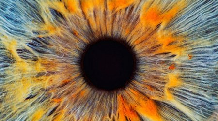 Does the human eye prove that God exists?