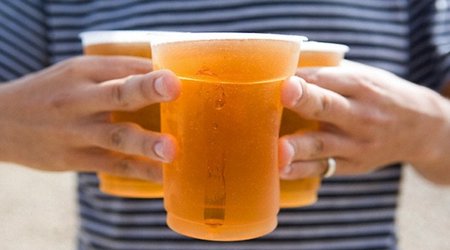Can beer make you smarter?