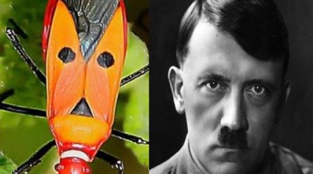 Hitlerin yeni bənzəri tapıldı - FOTOLAR