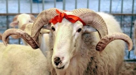 Azerbaijan celebrates Gurban holiday