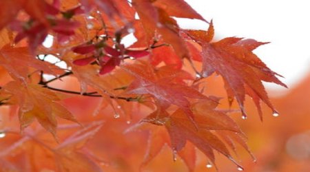 Azerbaijan weather forecast for Oct.5