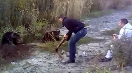 Russian brutally batters orphaned baby bear over the head with metal pipe - VIDEO