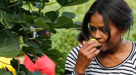 Michelle Obama releases utterly cringeworthy healthy eating rap - VIDEO