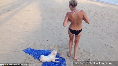 Puppy attempts to pull off girls bikini top - VIDEO