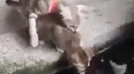 When fish strike back - PHOTO+VIDEO
