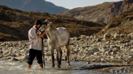 Azərbaycan filmi 3 mükafatı birdən aldı