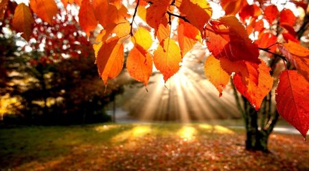 Dry weather expected in Azerbaijan