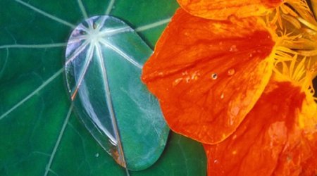 New waterproof surface is 'driest ever'