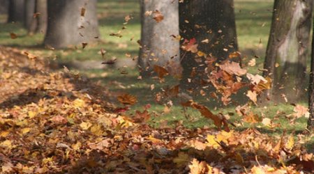 Warm weather expected in Azerbaijan