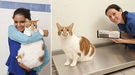 She’s no longer a portly pooch! - PHOTO