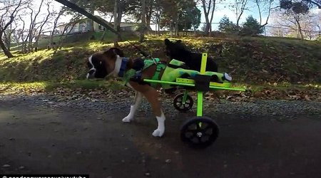 Chariots of Inspire - PHOTO+VIDEO