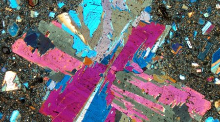 Italian geologist reveals the hidden beauty of beach pebbles - PHOTO