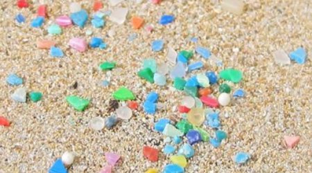 Plastic 'a threat' to biodiversity