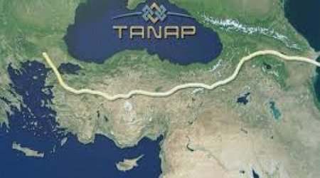 Turkey to increase its stake in TANAP pipeline project