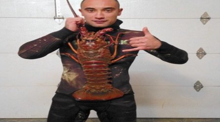 Lobster diver catches 18-pound spiny crustacean - PHOTO