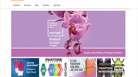 The color of 2014: radiant orchid