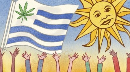 Heroic Uruguay deserves a Nobel peace prize for legalising cannabis