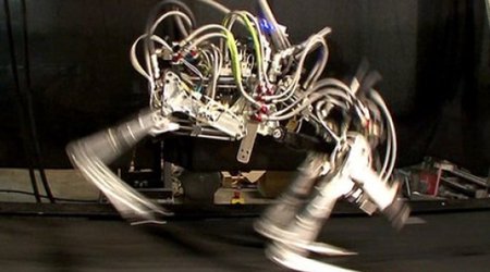 Google buys military robot-maker