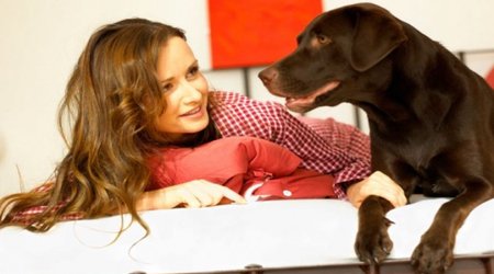 Dogs' ability to understand us is ever growing