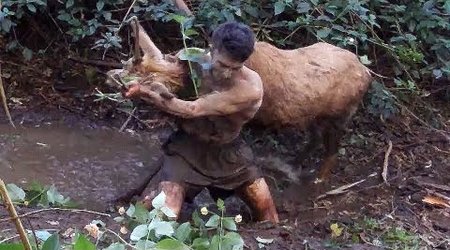 Wild animals caught barehanded - PHOTO+VIDEO