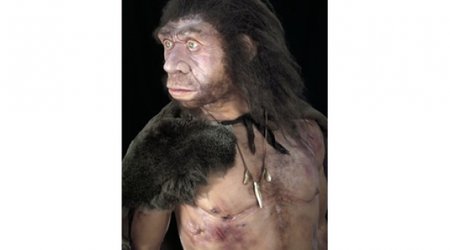 Diabetes risk gene 'from Neanderthals'