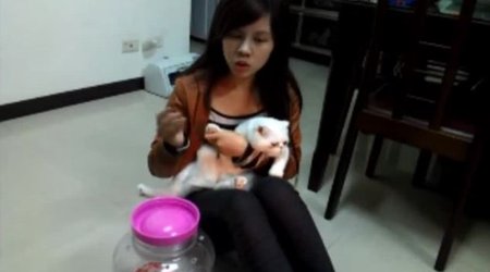 Student stuffed her pet cat into glass jar as 'punishment for misbehaving' - PHOTO+VIDEO