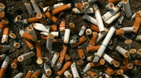 Strict parenting may reduce teen smoking