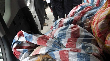 Man caught with dead Siberian tiger in his car - PHOTO