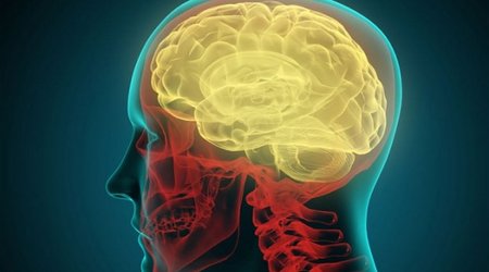 Supercomputer models one second of human brain activity