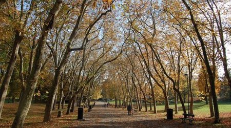 Green spaces have lasting positive effect on well-being