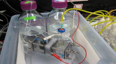 How to make petrol with bacteria - VIDEO