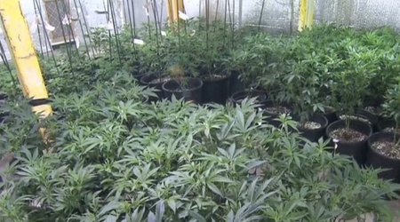 Why it's still a big deal if your teen smokes pot