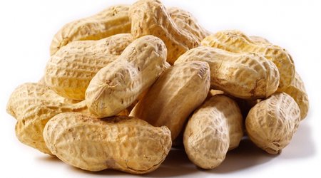 New treatment for peanut allergy declared a success