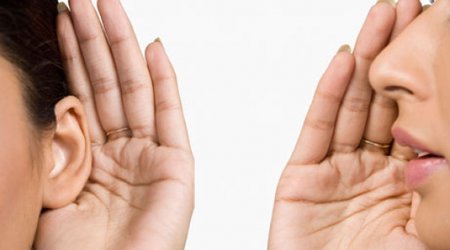 Sex and the Guardian: readers confess all