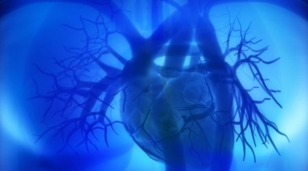 For couples, mutual ambivalence increases cardiovascular risk