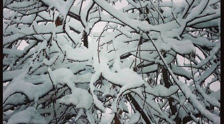 Winter views of Ganja - PHOTO