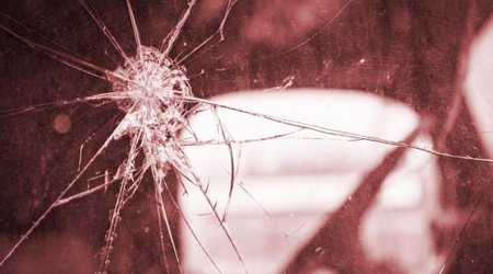 Why birds can’t avoid hitting your car windscreen