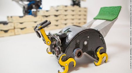 How termite-inspired robots could build for us