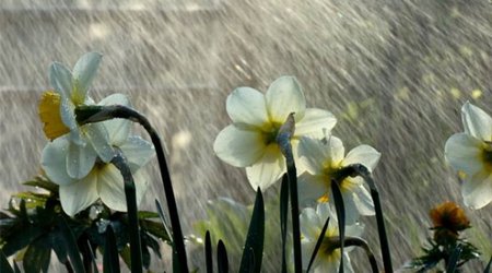 Baku weather forecast for Feb. 26