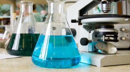 Ears and noses to be grown in lab from stem cells