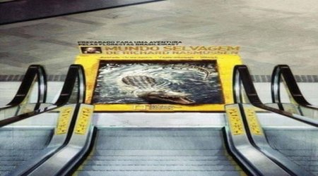 3D crocodile ad for National Geographic in Brazil