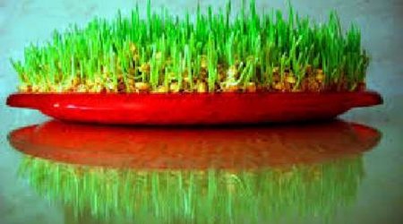 Novruz arrives