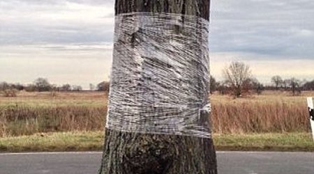 Stunning optical illusion - PHOTO+VIDEO