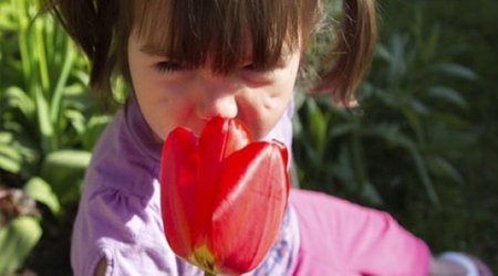 Nose can detect one trillion odours