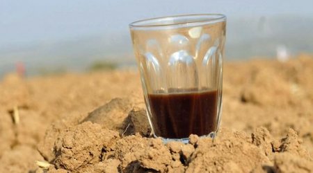 Do coffee and tea really dehydrate us?