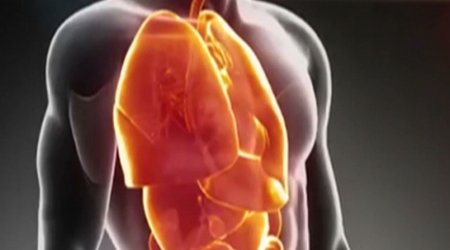 The next frontier in 3-D printing: Human organs - VIDEO